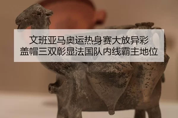 wen-ban-ya-ma-ao-yun-re-shen-sai-da-fang-yi-cai-gai-mao-san-shuang-zhang-xian-fa-guo-dui-nei-xian-ba-zhu-di-wei-2-220.jpg